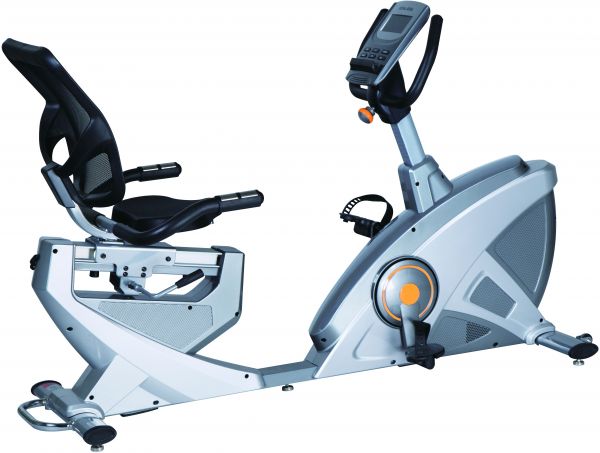 SKYLAND EM-1543 Recumbent Bike - Silver