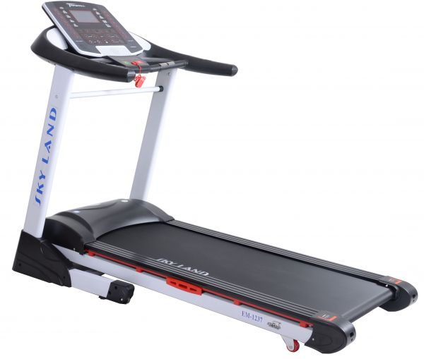 Treadmill skyland online